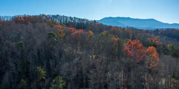 Image 4: DJI_0554-HDR