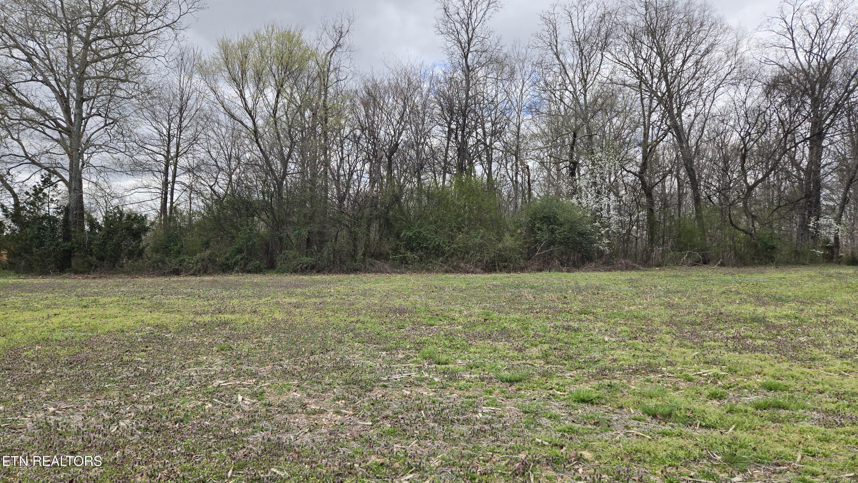 Image 2: Mostly Cleared