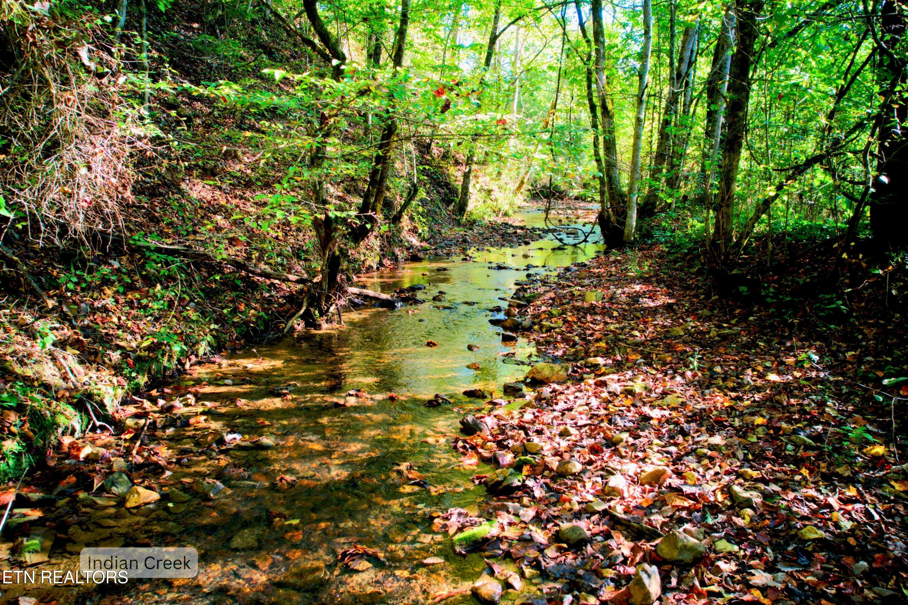 Image 3: 02