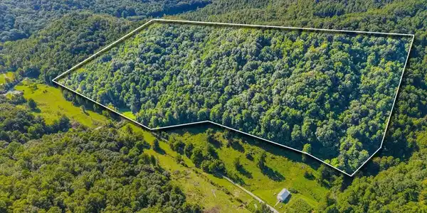 Image 2: 01-259 Walden Hollow Ln