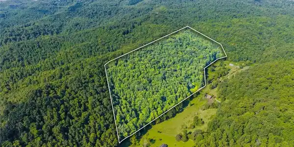 Image 3: 02-259 Walden Hollow Ln