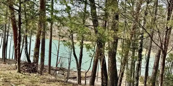 Image 3: 2