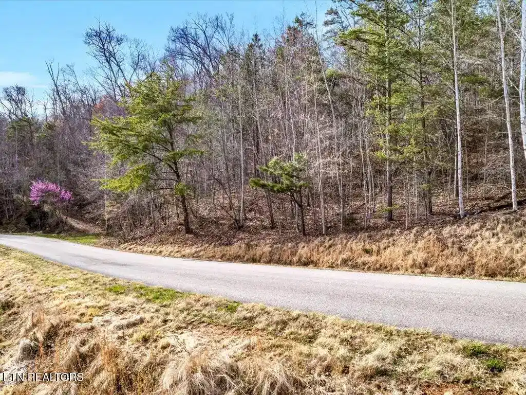 Image 1: Lot 553 Whistle Valley Rd - 1