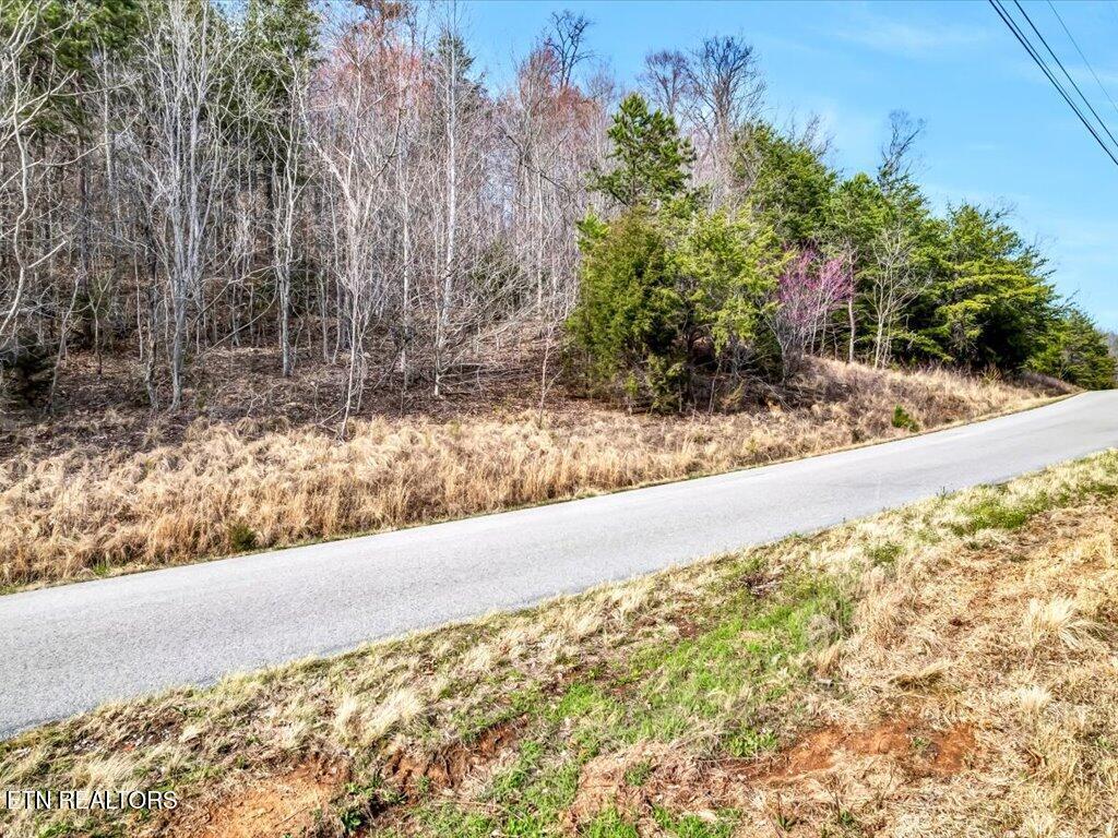 Image 4: Lot 553 Whistle Valley Rd - 4