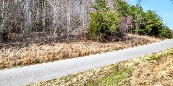 Image 4: Lot 553 Whistle Valley Rd - 4