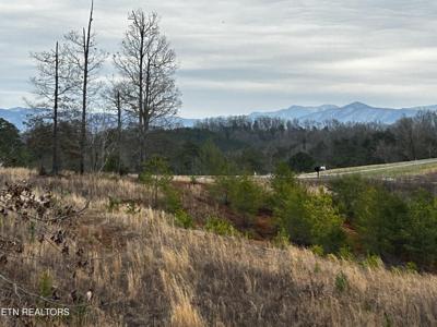 Shriners Bluff Drive - 3 Lots Drive