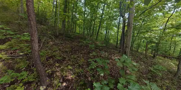 Image 4: CAM_20260820122846_0019_D_1787264812177