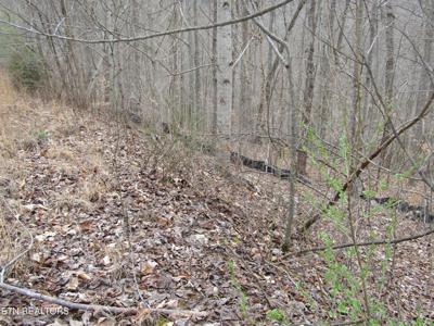 Lot 60 W Bobcat Lane