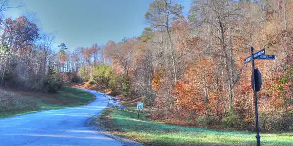 Lot 190 Hickory Way