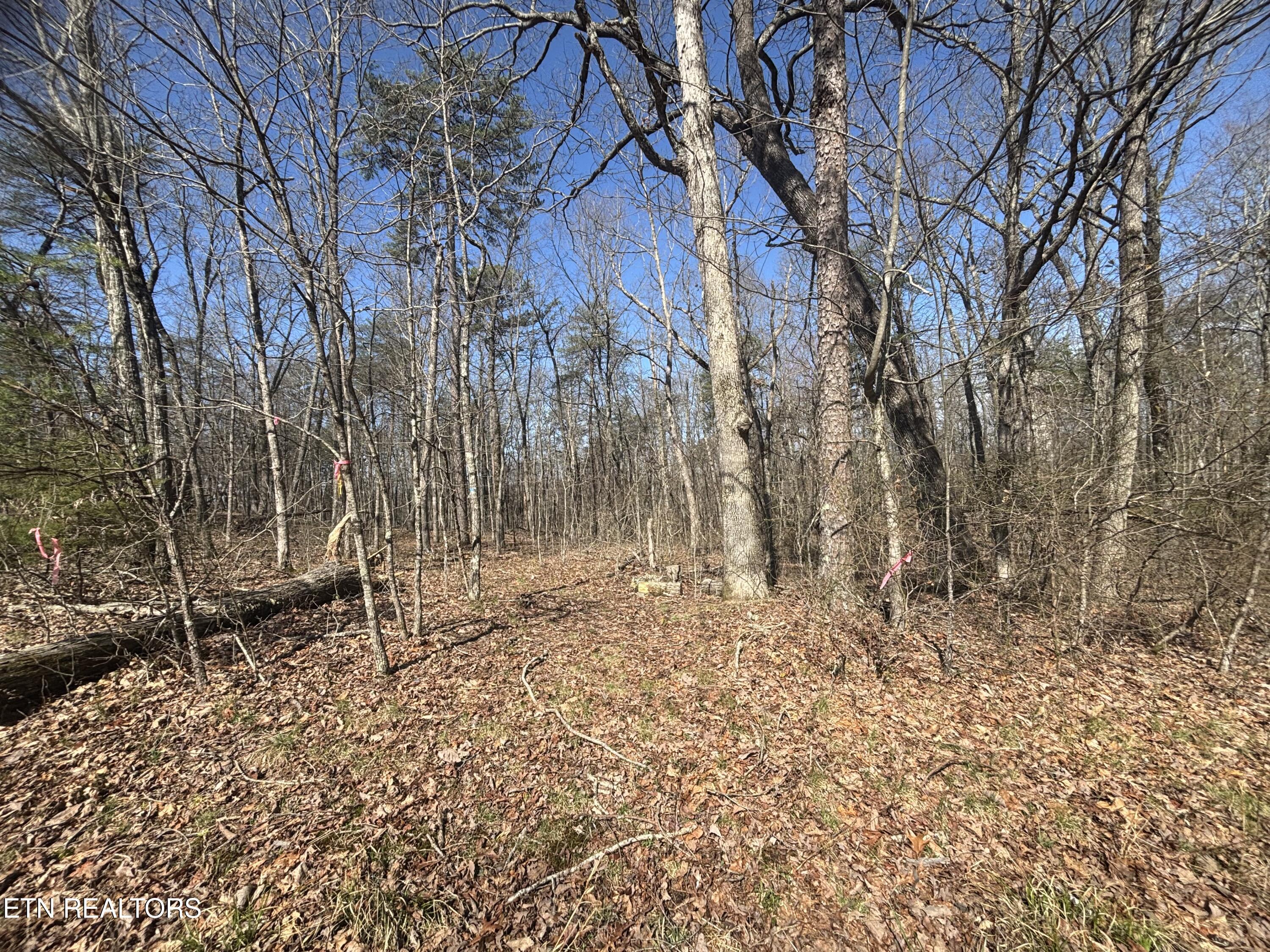 Image 4: IMG_2326