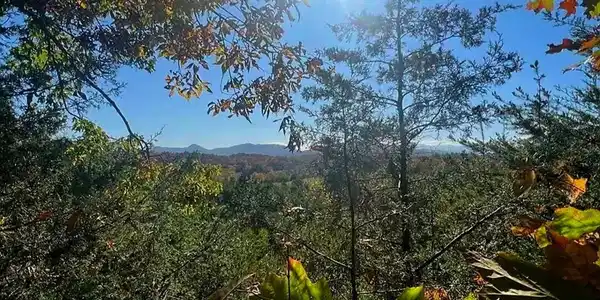 Manning Hollow Rd