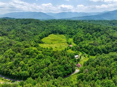 1A 4255 Lower Powdermill Rd