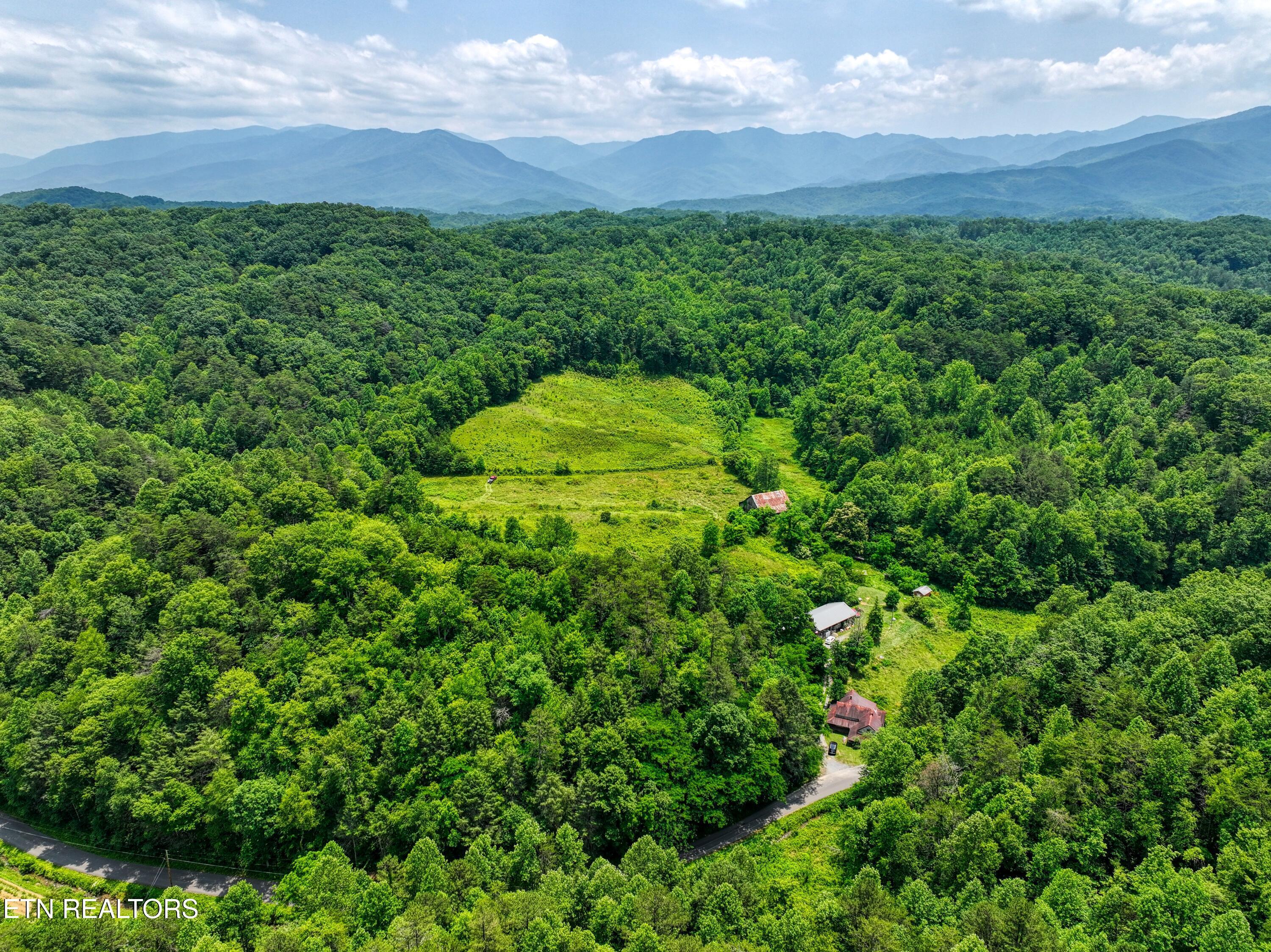 Image 1: DJI_20250611133030_0839_D_64