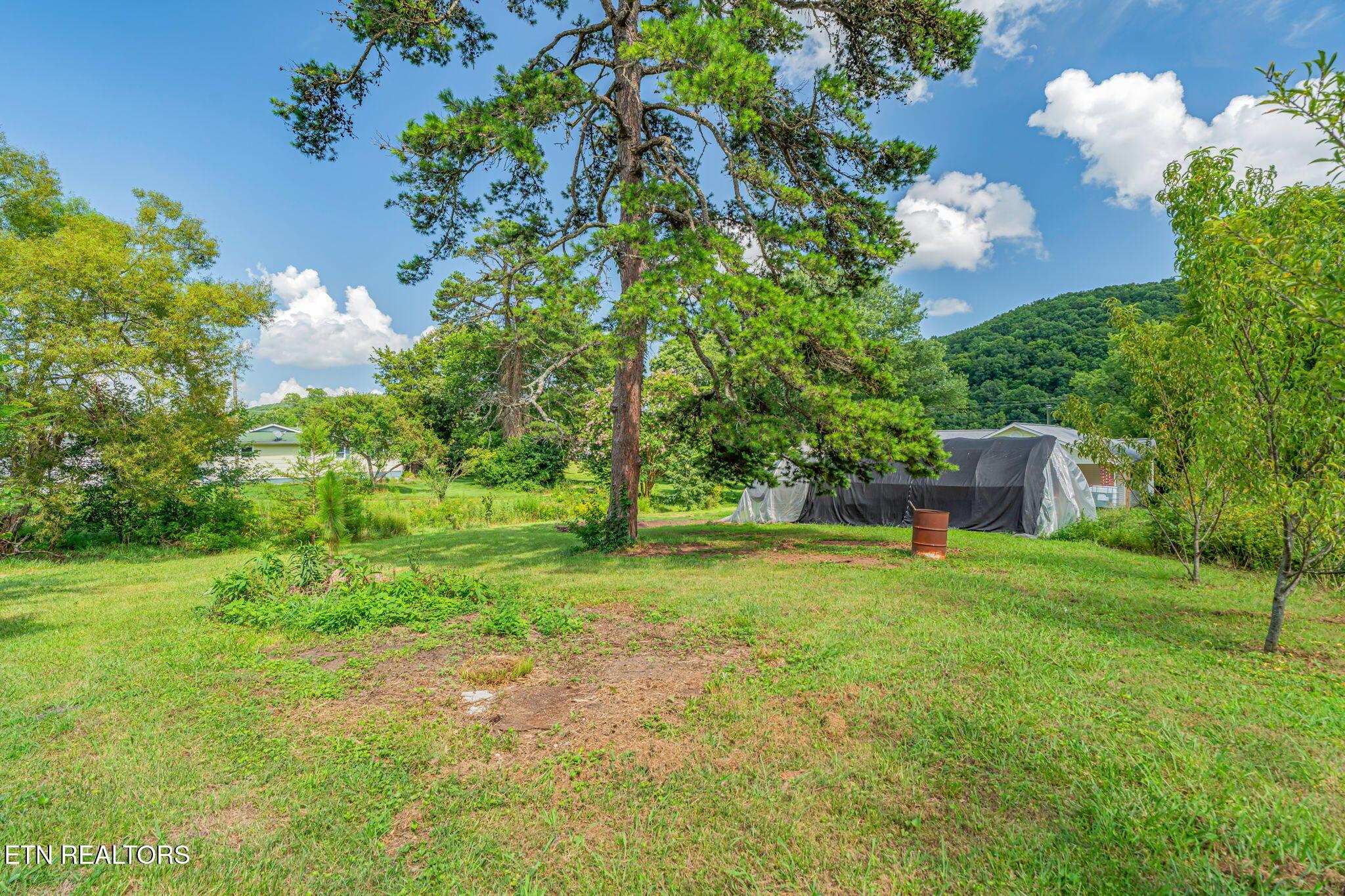 Image 2: 3-web-or-mls-231 Wright Road-2