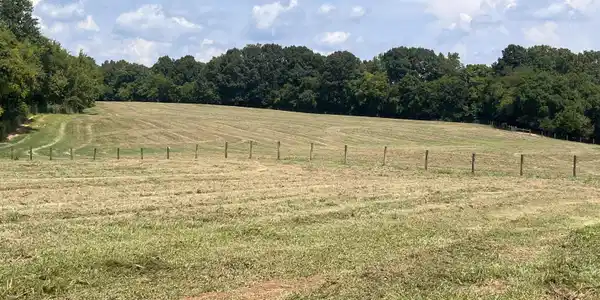 160 County Road 968