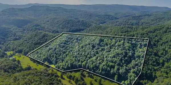 Image 4: 03-259 Walden Hollow Ln