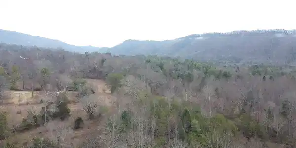 83.8 acres E Millers Cove Rd
