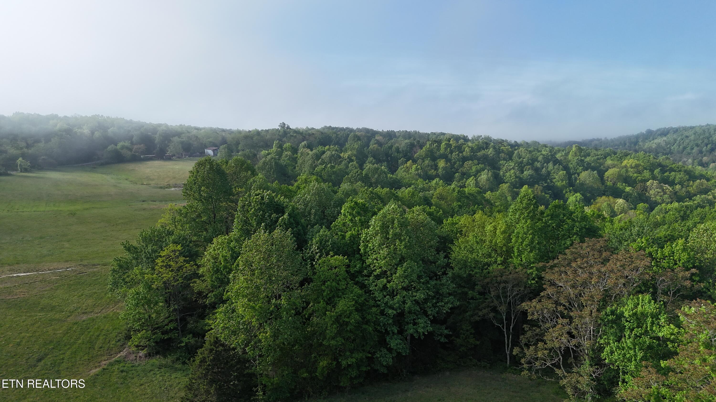 Image 4: DJI_20260426084819_0029_D
