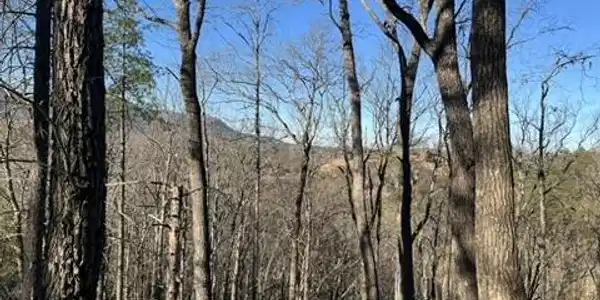 Image 3: 4C0147D4-6746-4387-B226-3ED2467DFE5F_4_5
