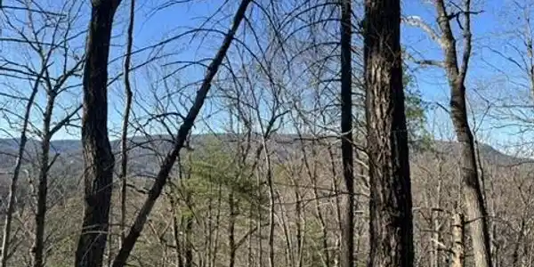 Image 4: 5D0D1019-D450-440D-9DFA-C8D20E091D5F_4_5