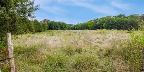 Alex Bales Rd