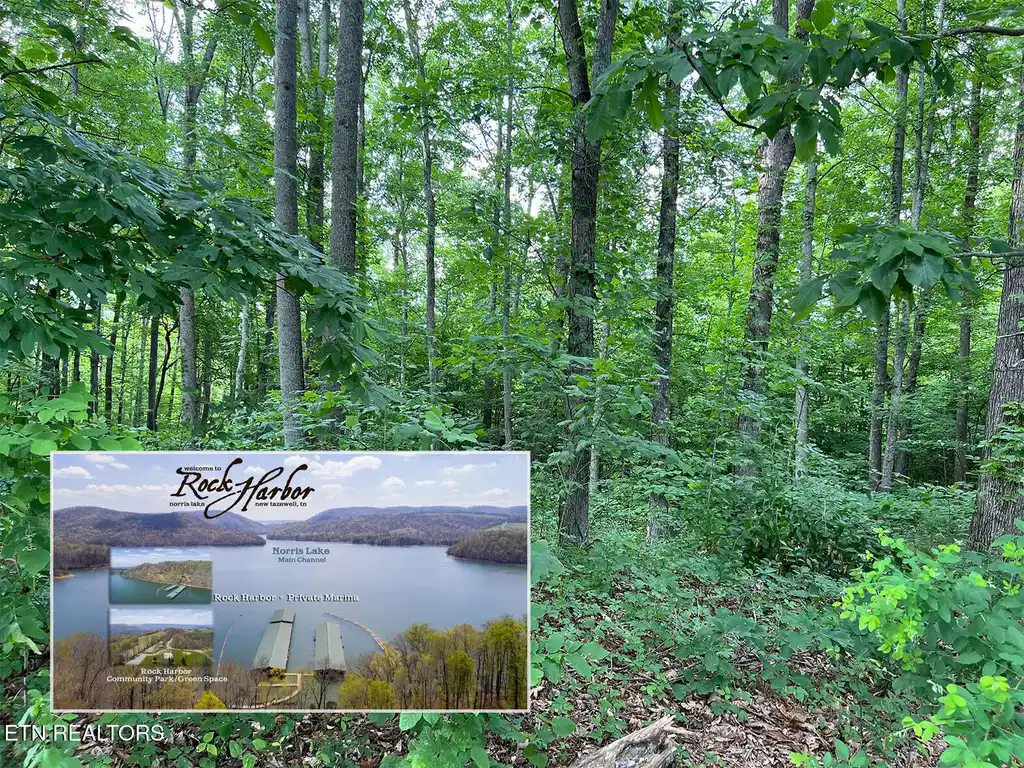 Image 1: L#240 Tanzanite Rock Harbor, Norris Lake