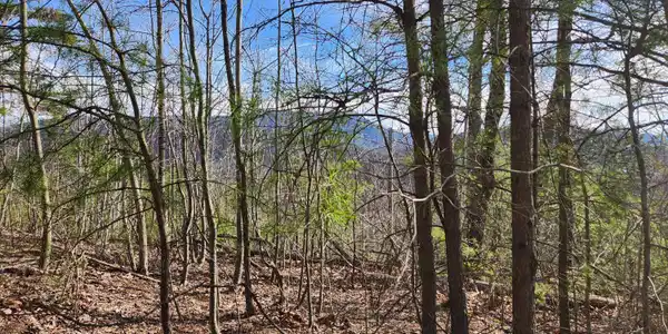 Image 3: 20250310_165138