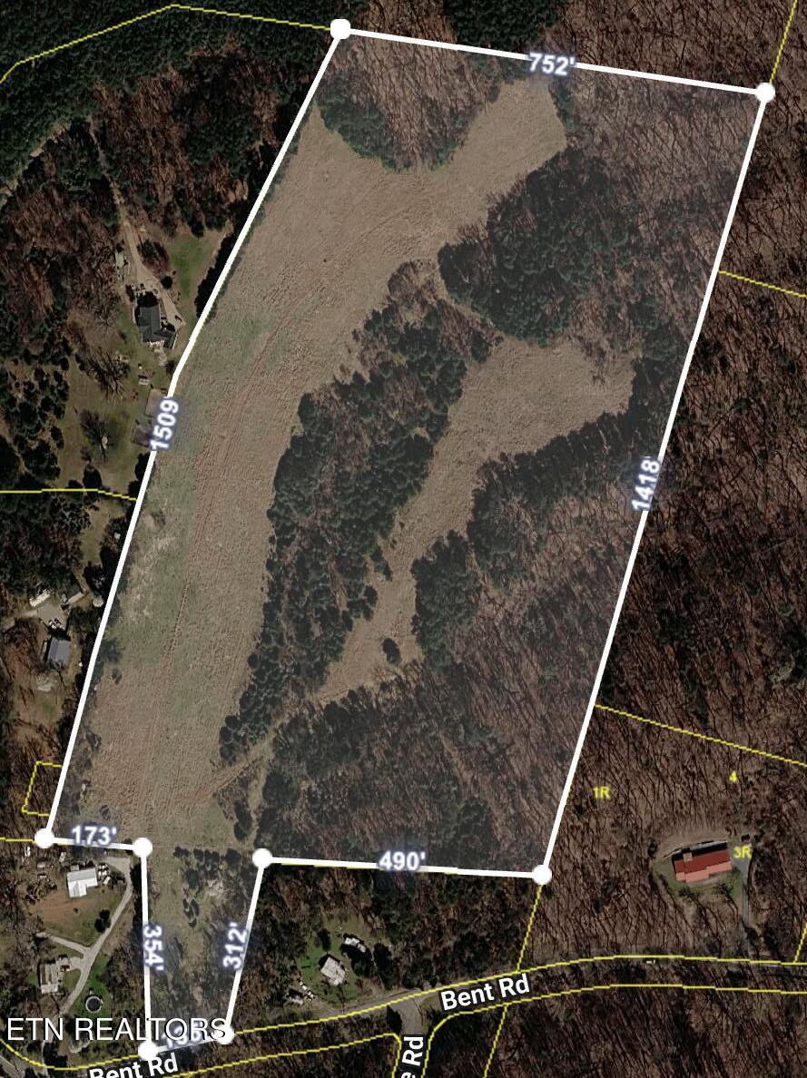 Image 1: Satellite Image 1