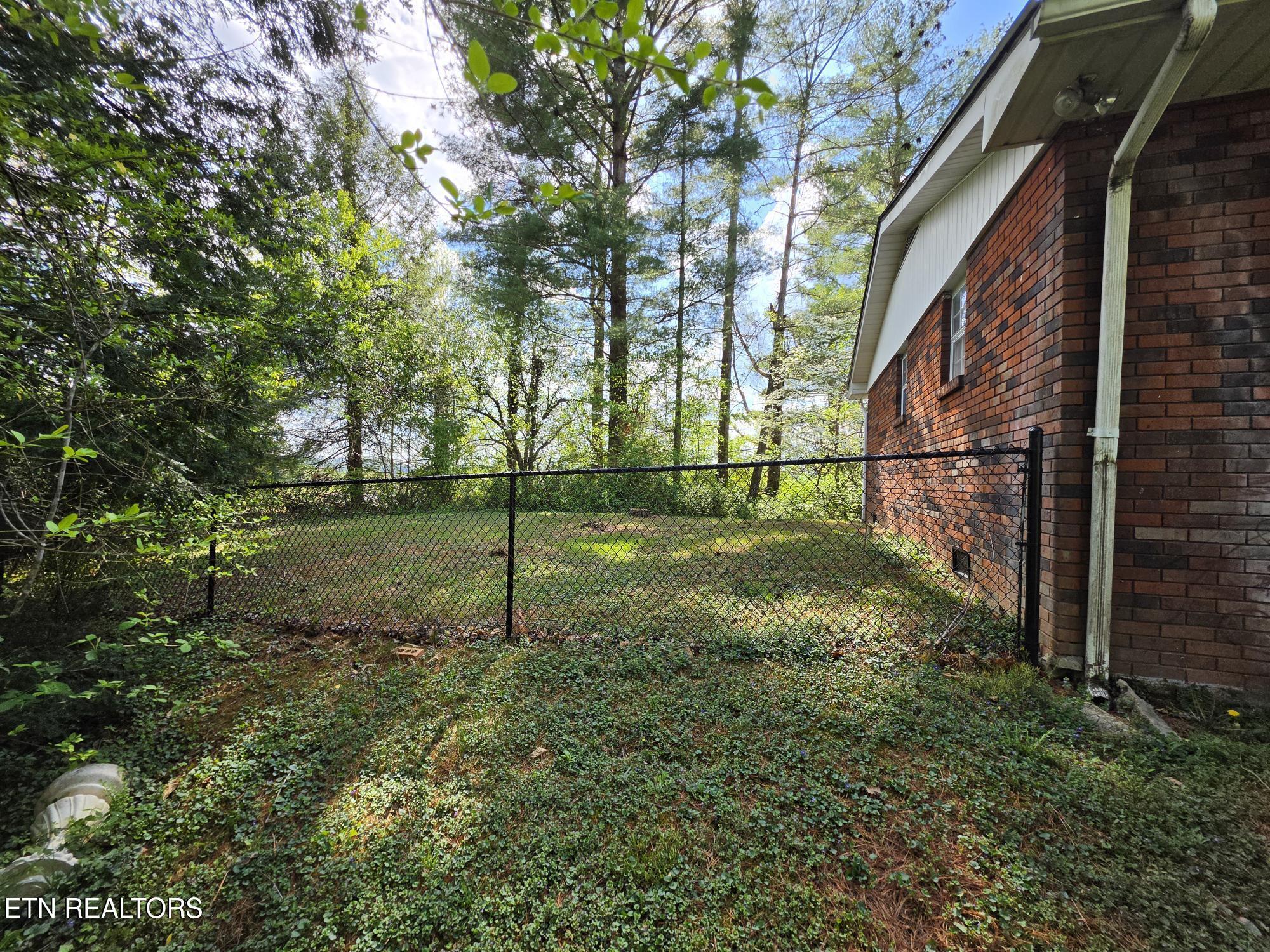 Image 3: Side Yard