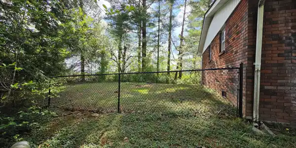Image 3: Side Yard