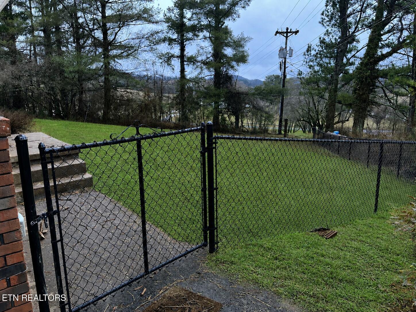 Image 4: Back Yard