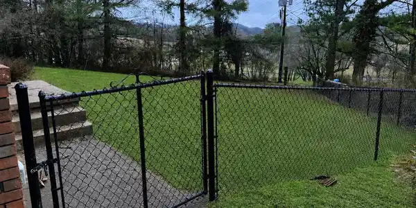 Image 4: Back Yard