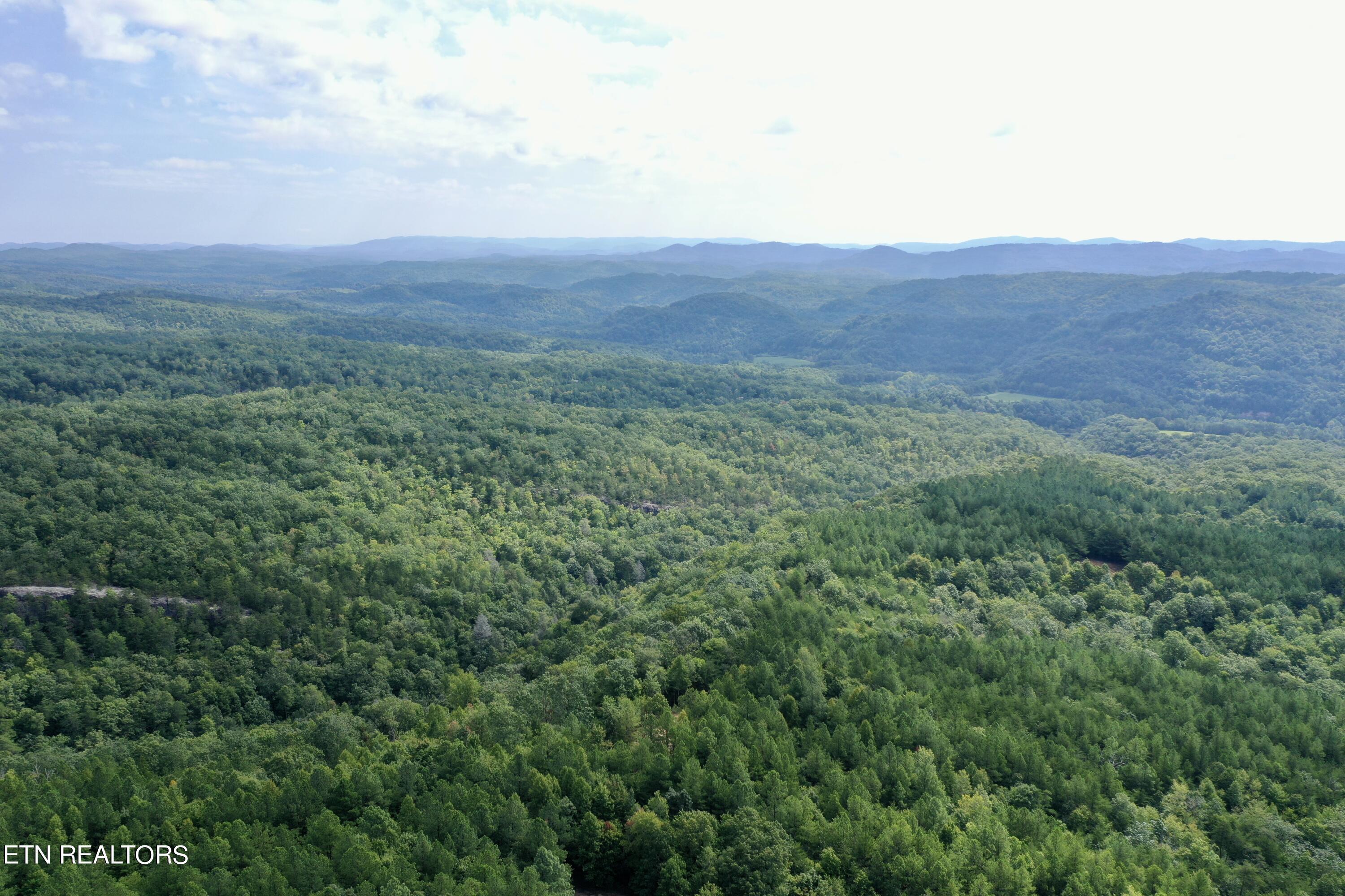 Image 4: 4