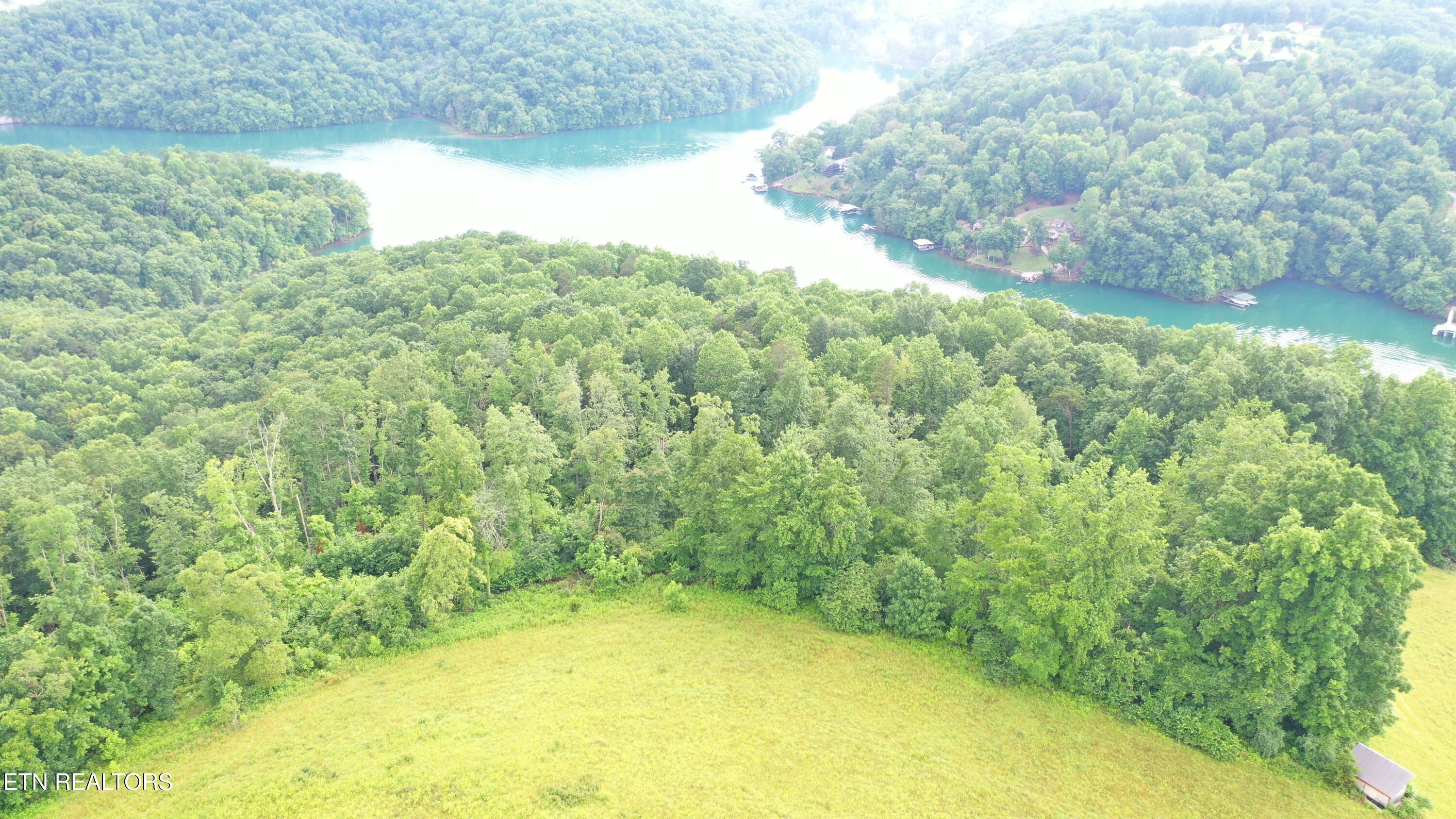 Image 3: DJI_0040