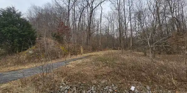 WIlderness Rd