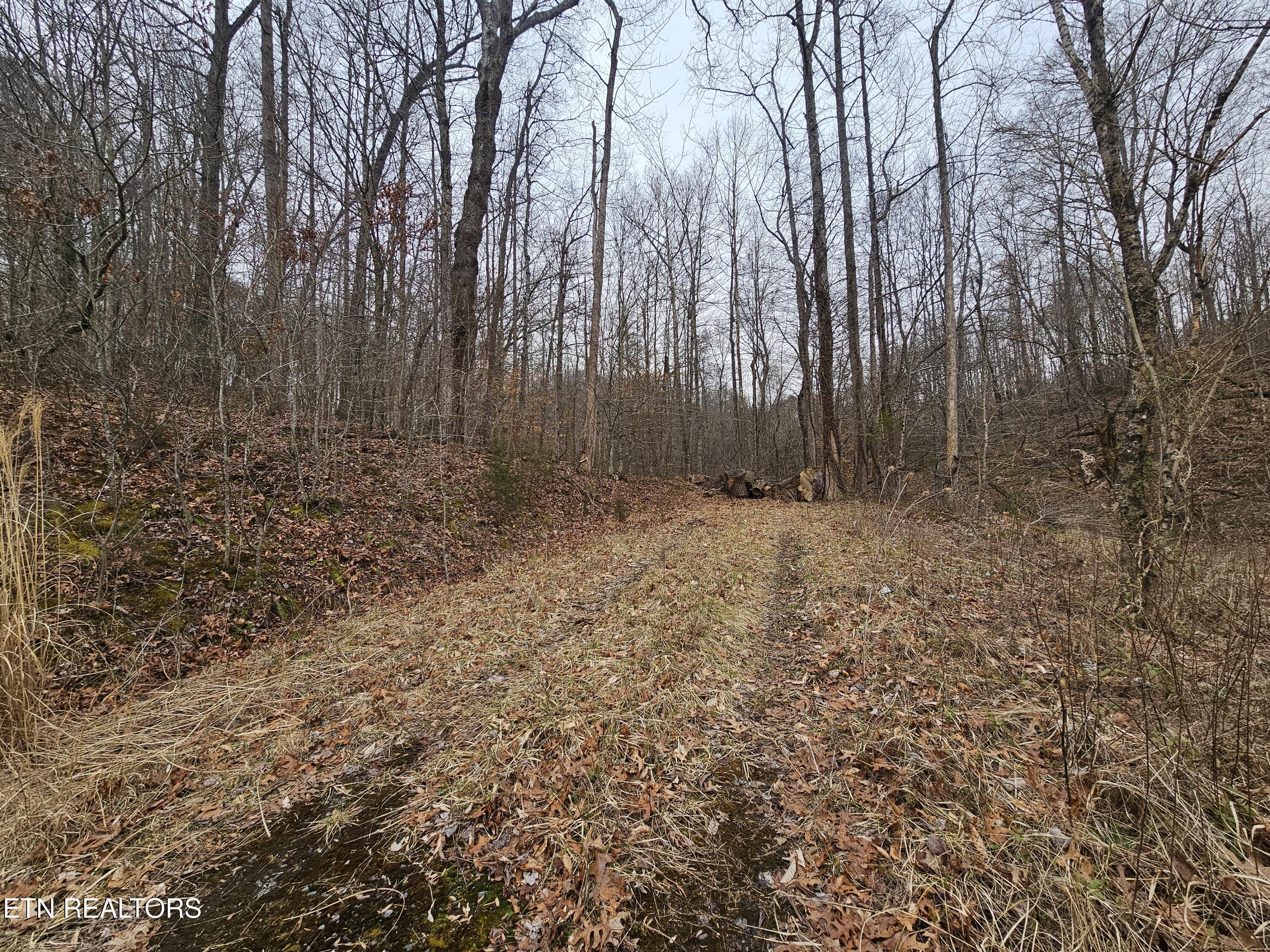 Image 3: 20260225_085502