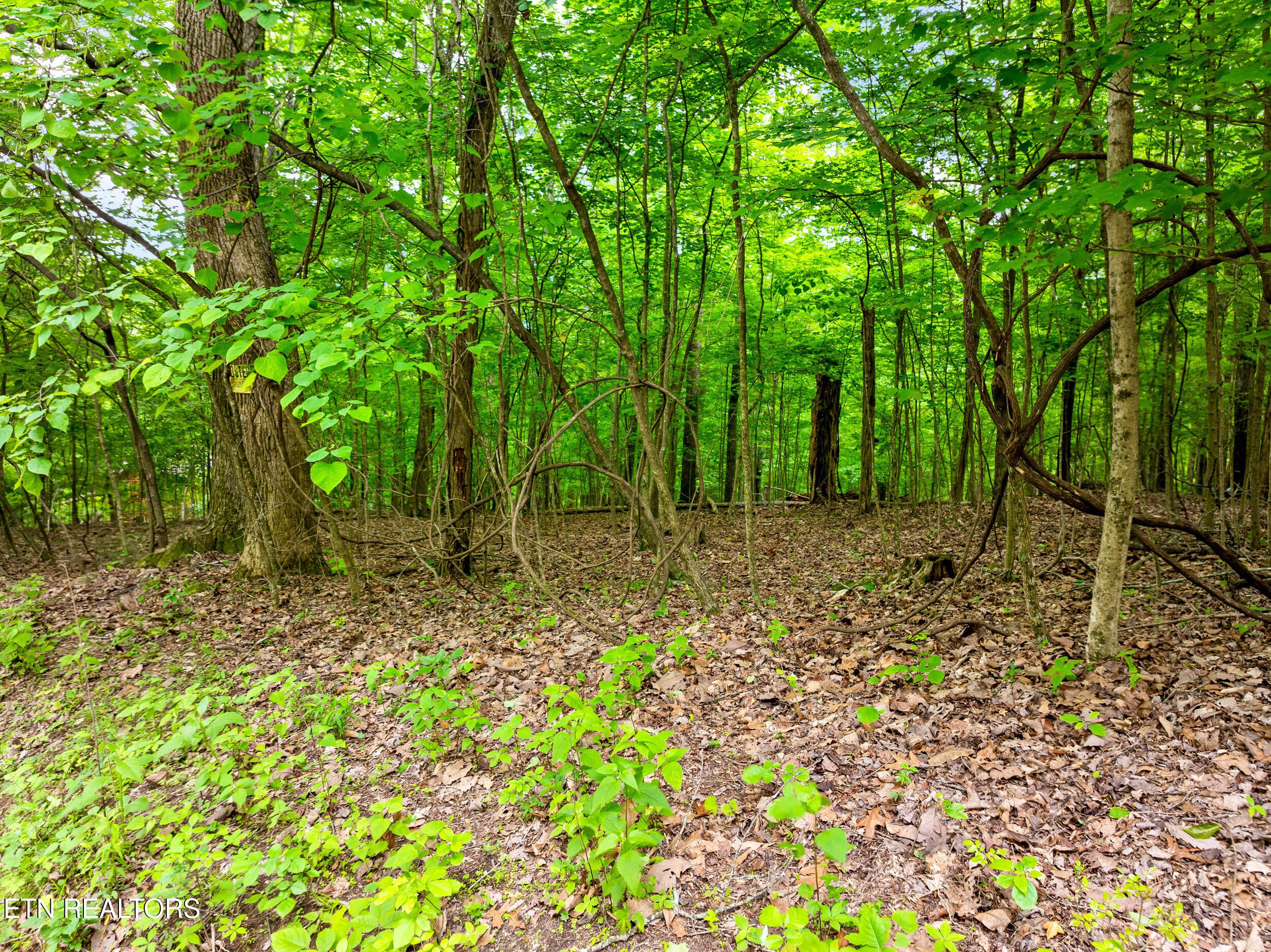 Image 3: running deer trail lot-3