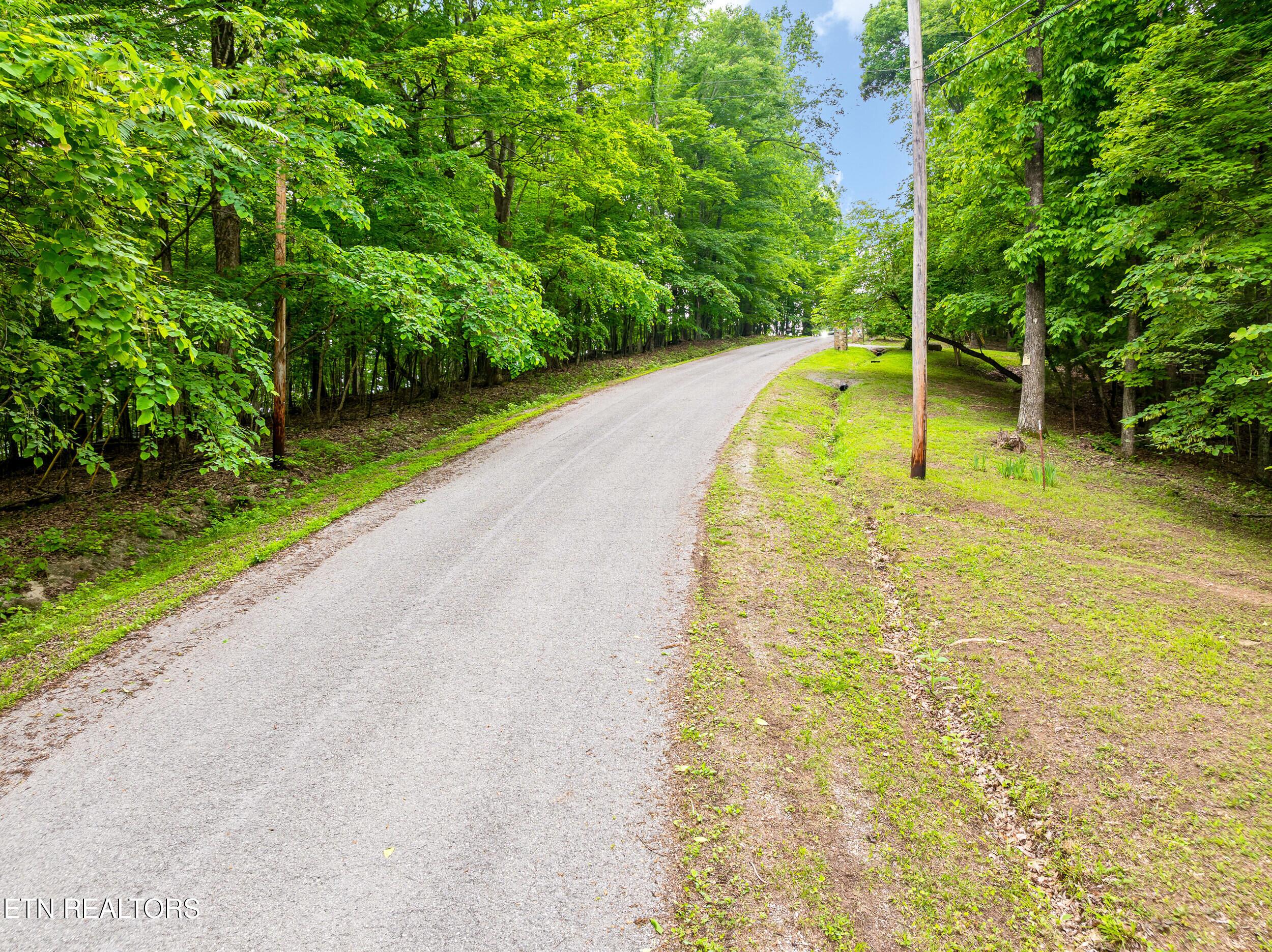 Image 4: running deer trail lot-4