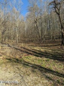 00 Jackson Ridge Rd