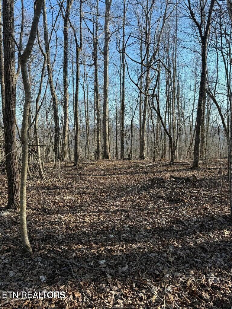 Image 2: LAND LAYS GREAT