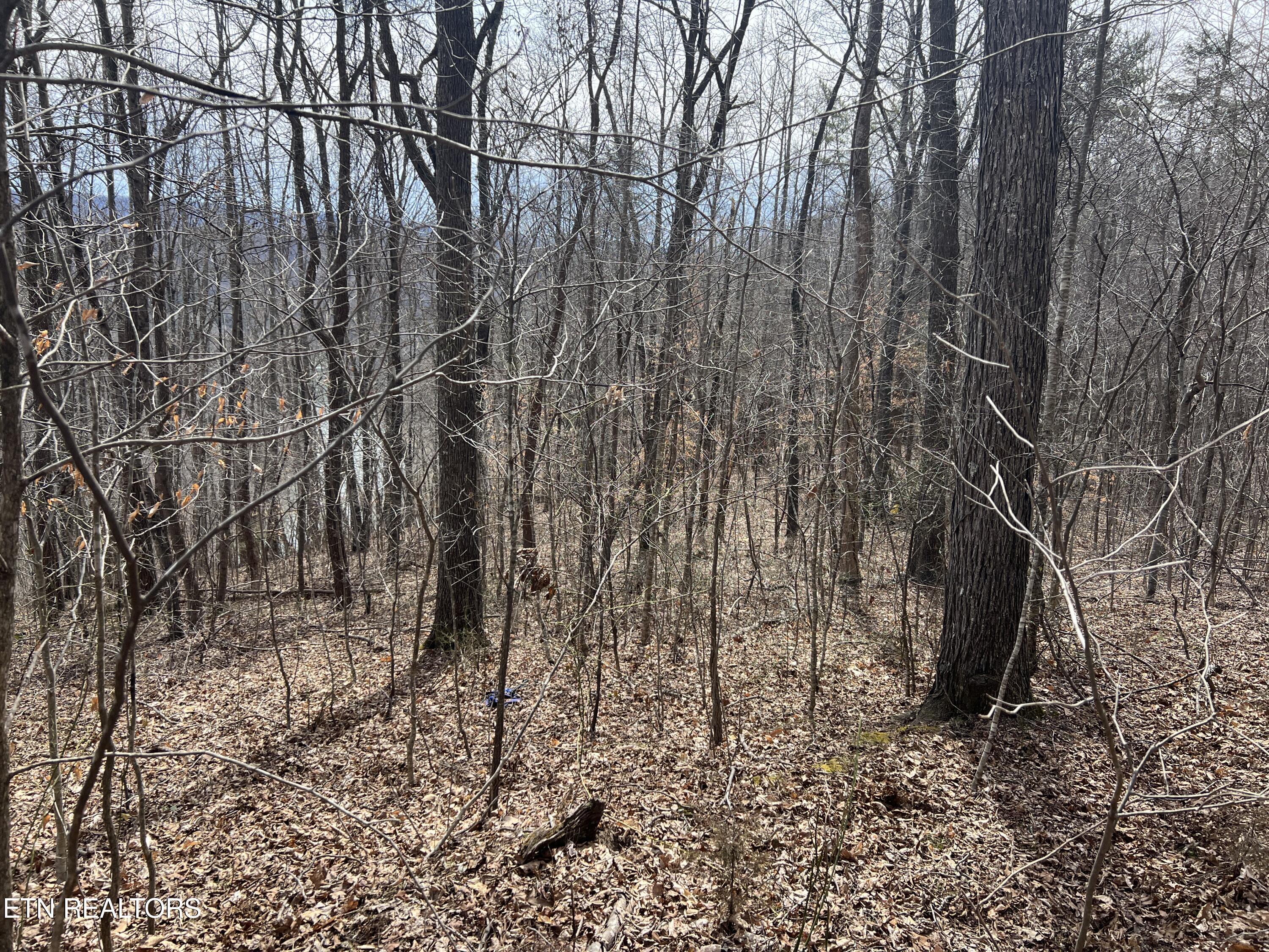 Image 4: IMG_2470