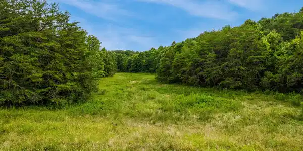 Alex Bales Rd