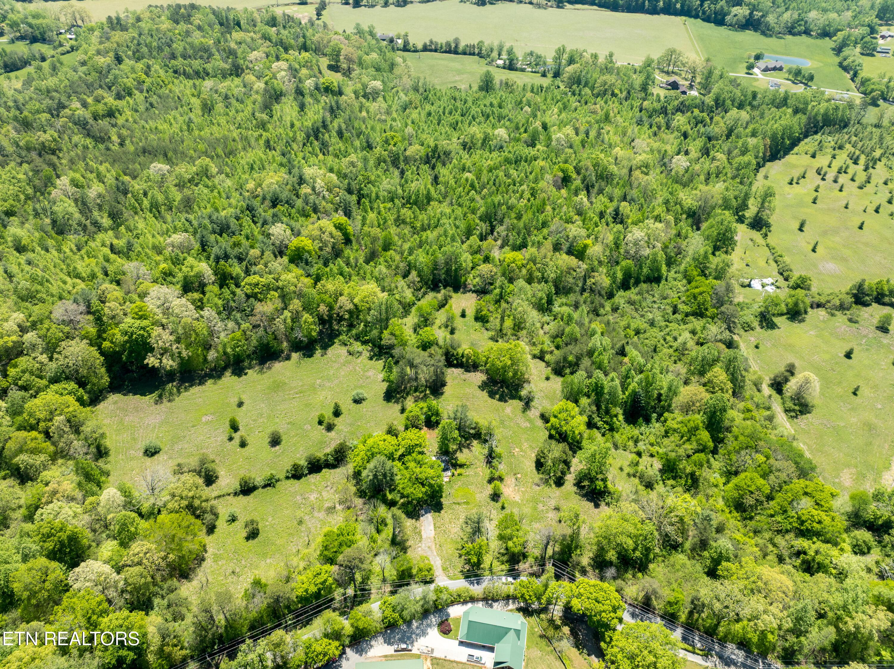 Image 2: Lot 3