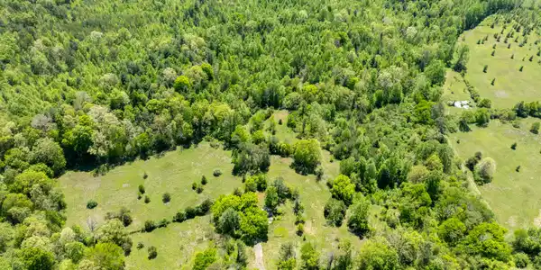 Image 2: Lot 3