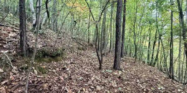 Lot 192 Clinch View Road