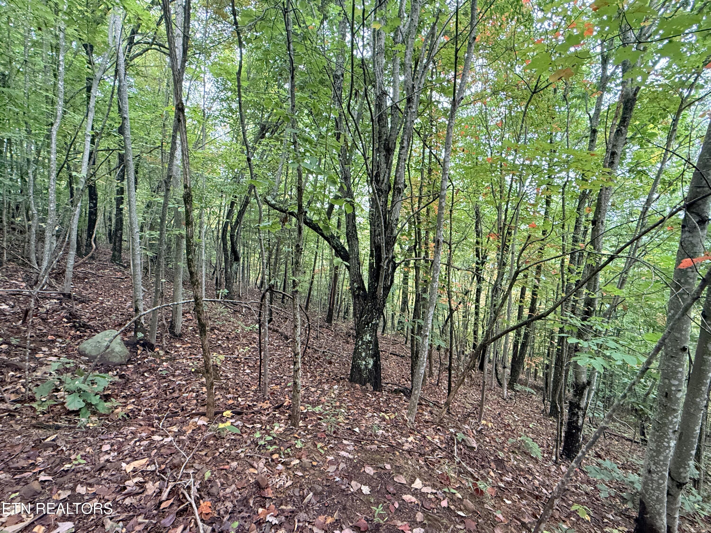 Image 2: Lot 192