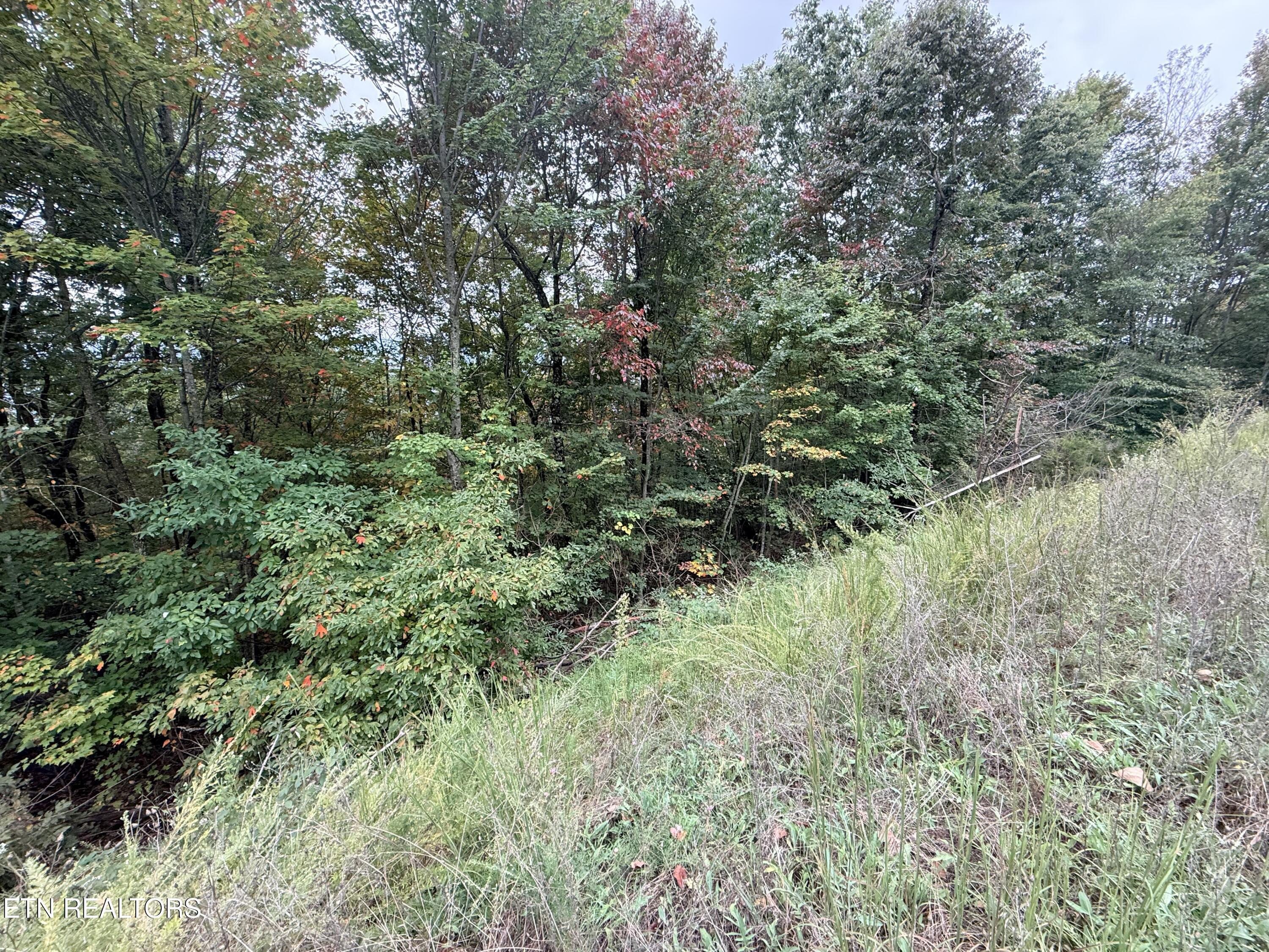 Image 3: Lot 192