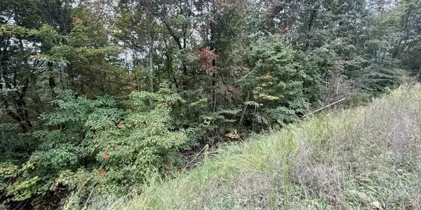 Image 3: Lot 192