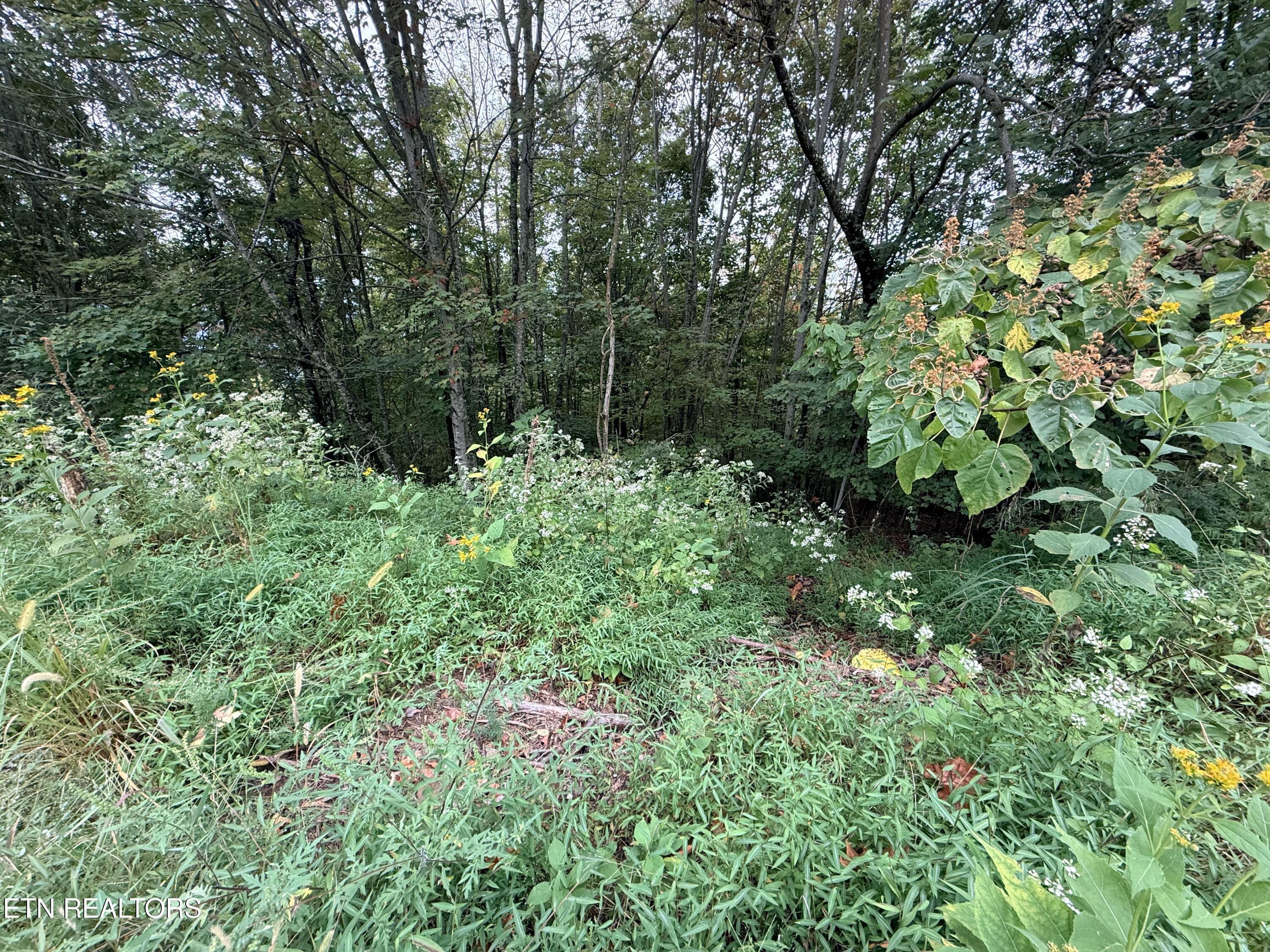 Image 4: Lot 192