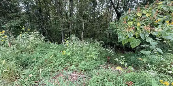 Image 4: Lot 192